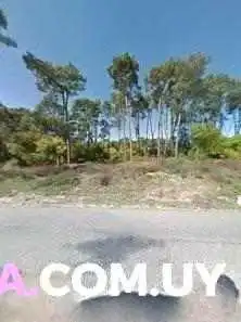 La Zona Empanadas -  Street View Y 360 - Maldonado