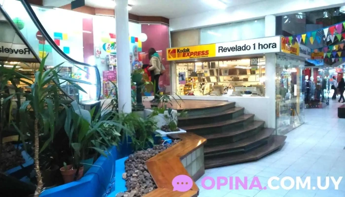 Laboratorio Ceb -  Exterior - Paysandú