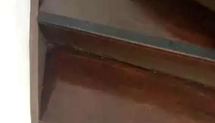 Laboratorio Ceb Montevideo -  Del Propietario - Montevideo