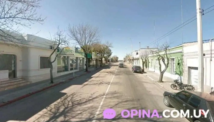 Laboratorio Ceb Young - Young