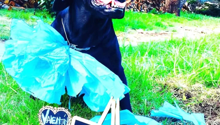 Laboratorio Montevideo - Montevideo