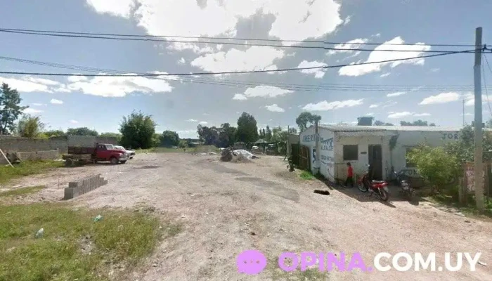 Lady Barber Amazona's - 37100 Rio Branco