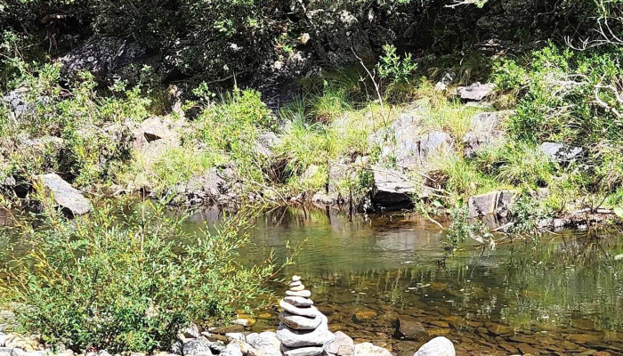 Laika - 11300 Montevideo