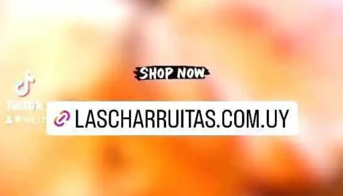 Las Charruitas Empanadas Gourmet -  Del Propietario - Punta del Este