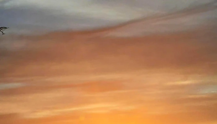 Las Glicinas Boutique Apartments -  Instagram - Col. del Sacramento