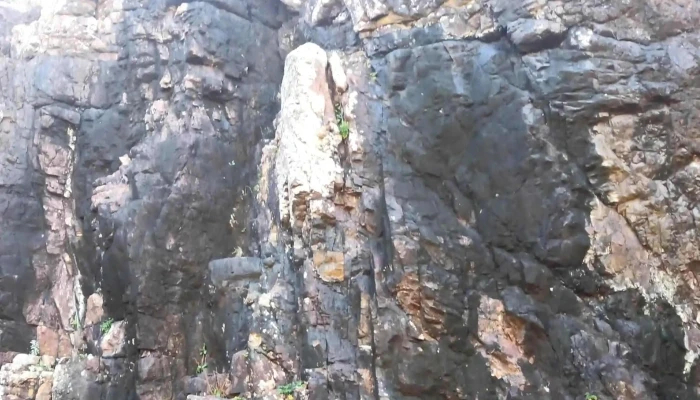 Las Grutas -  Comentario 2 - Punta Ballena