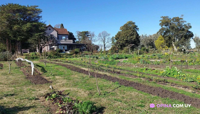 Las Liebres -  Restaurante Hotel Videos - Col. del Sacramento