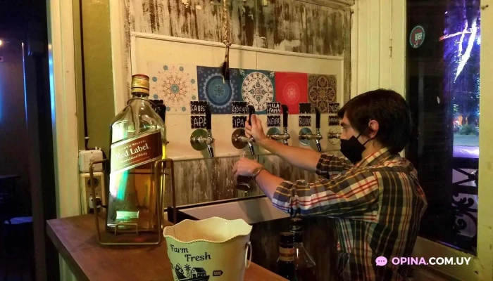 Las Pintas Bar -  Bebida Alcoholica - Treinta y Tres