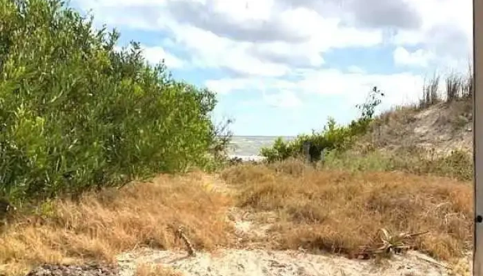 Las Tinas -  Del Propietario - La Floresta