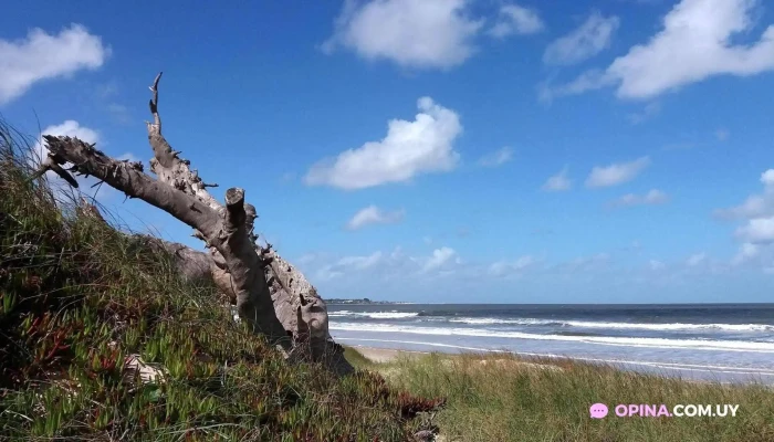 Las Toscas -  Todas - Las Toscas