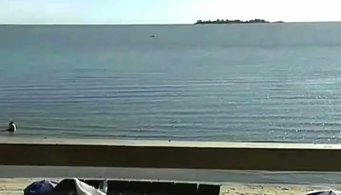 Las Tunas Beach Bar -  Videos - Col. del Sacramento