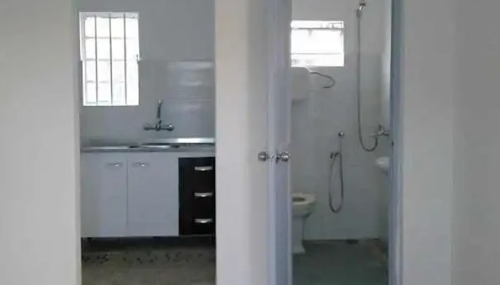 Las Violetas -  Todas - Montevideo