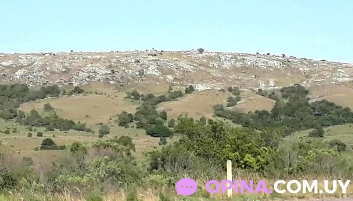 Lascano -  Videos - Lascano