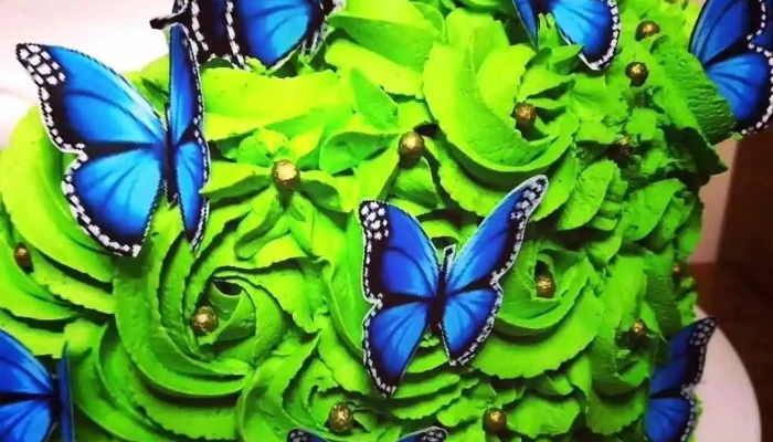 Lavidabella Del Propietario - Las Piedras