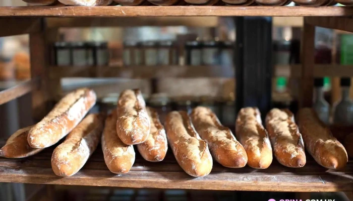 Le Pain Quotidien -  Recientes - Montevideo