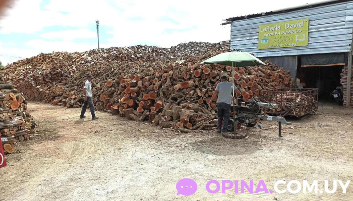 Leñeria Y Barraca De Maderas David - Maldonado
