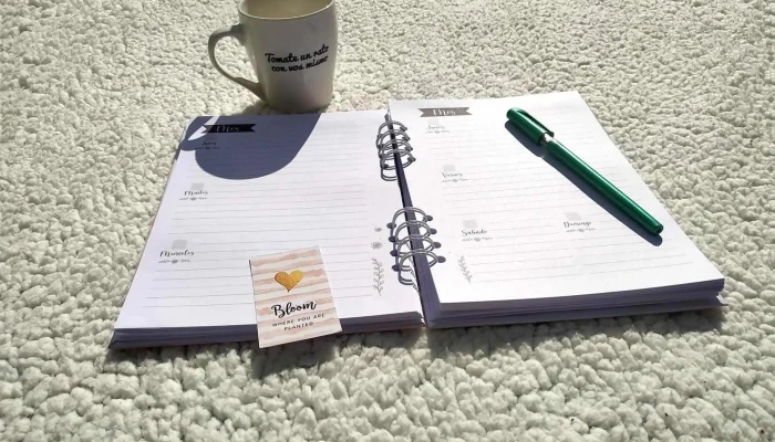 Lerice -  Del Propietario - Melo