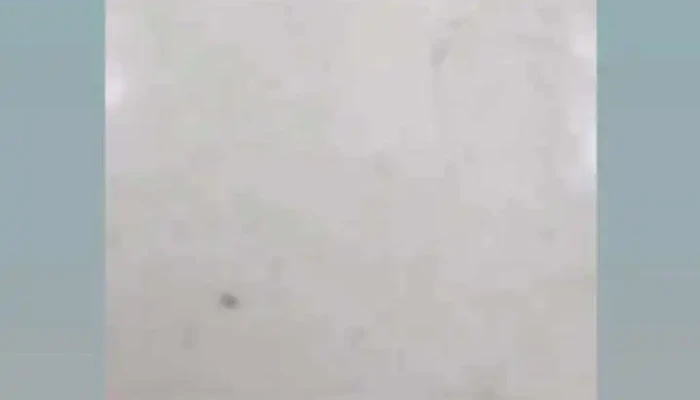 Lets Coffee Del Propietario - Montevideo