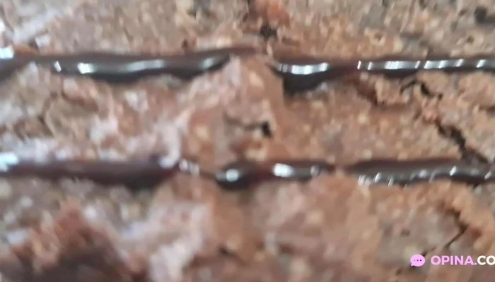 Lets Coffee Videos - Montevideo