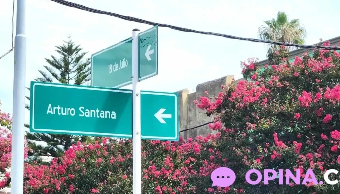 Levelupuy Del Propietario - Maldonado