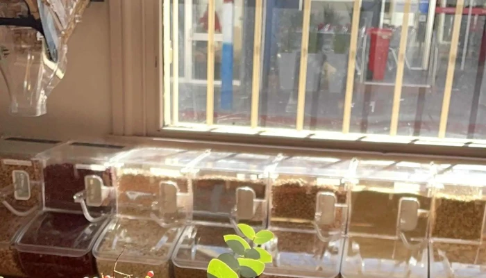 Liberta Y Cocina Comentario 6 - Montevideo