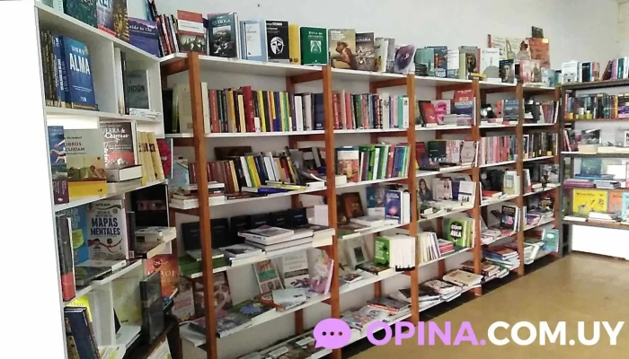 Libreria 33 Interior - Salto