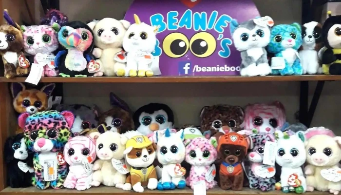 Libreria Difusion Direccion - Tacuarembó