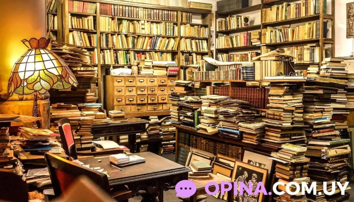 Libreria El Galeon Roberto Cataldo Estante De Libros - Montevideo