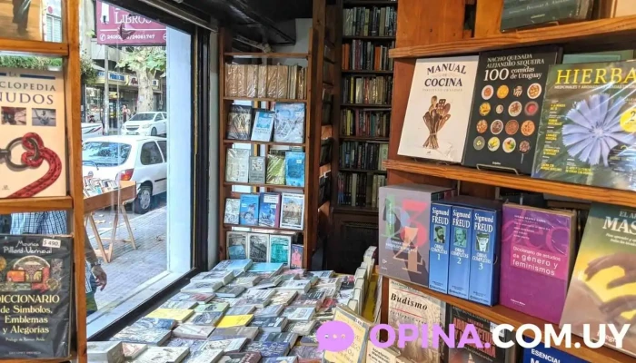Libreria Ilion -  Interior - Montevideo