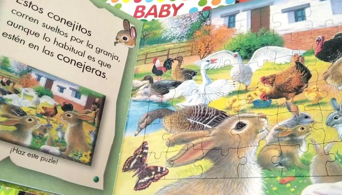 Libreria Letras -  Catalogo - Las Piedras