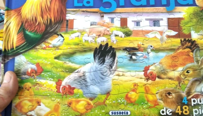 Libreria Letras - Las Piedras