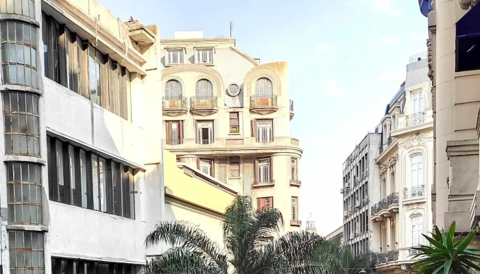 Libreria Mas Puro Verso Telefono - Montevideo