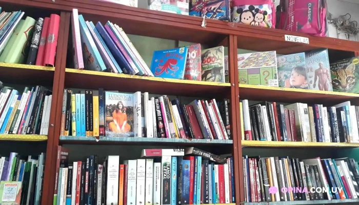 Libreria Y Papeleria Bastos -  Estante De Libros - Dolores