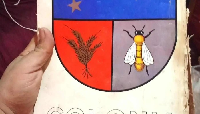 Libros Carrasco -  Interior - Montevideo