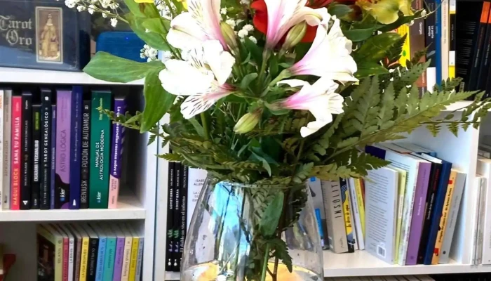 Libros De La Arena -  Estante De Libros - Montevideo