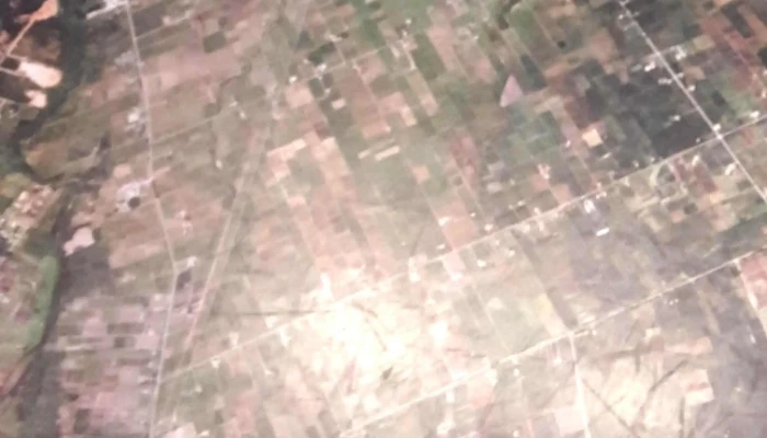 Libros Del Paso -    Libreria Y Papeleria Videos - Montevideo