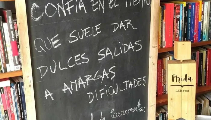 Libros Frida -  Del Propietario - Las Piedras
