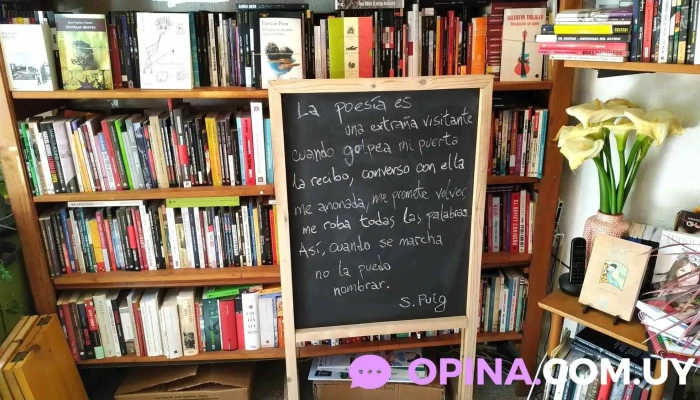 Libros Frida -  Estante De Libros - Las Piedras