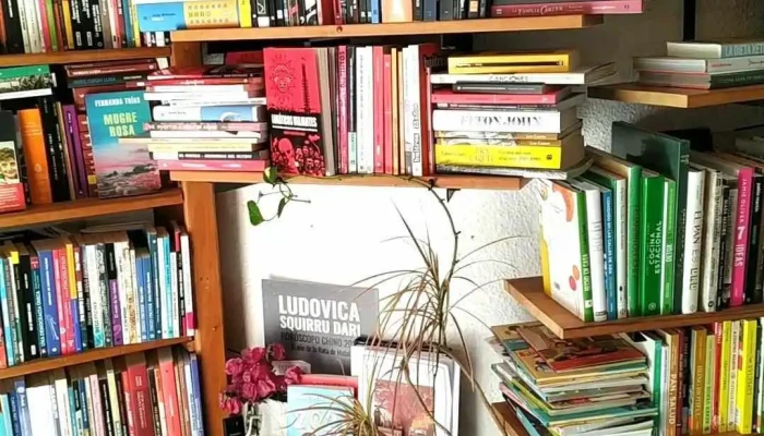 Libros Frida -  Sitio Web - Las Piedras