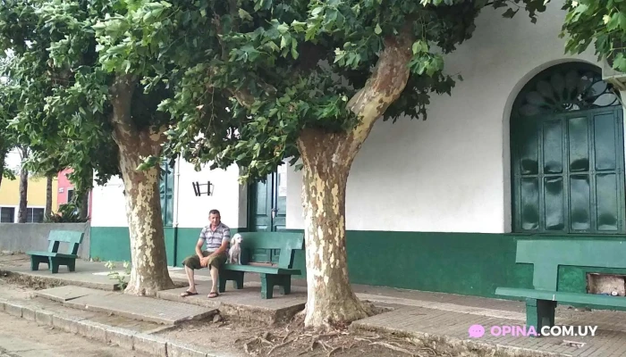 Liceo Carlos Reyles -  Todo - Carlos Reyles