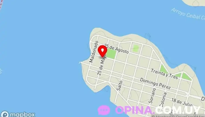 mapa de Liceo de Villa Constitución Centro de educación secundaria en Constitución