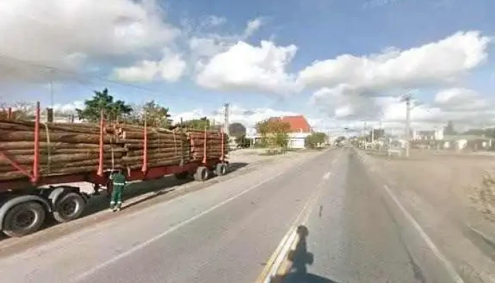 Liceo Micaela Drovandi -  Videos - Jos&eacute; Enrique Rod&oacute;