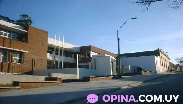 Liceo No 11 Bruno Mauricio De Zabala Promocion - Montevideo