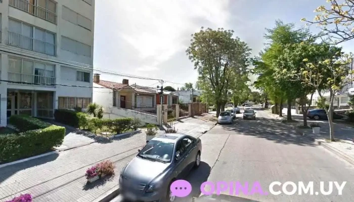 Lila Stationery Lovers - Montevideo