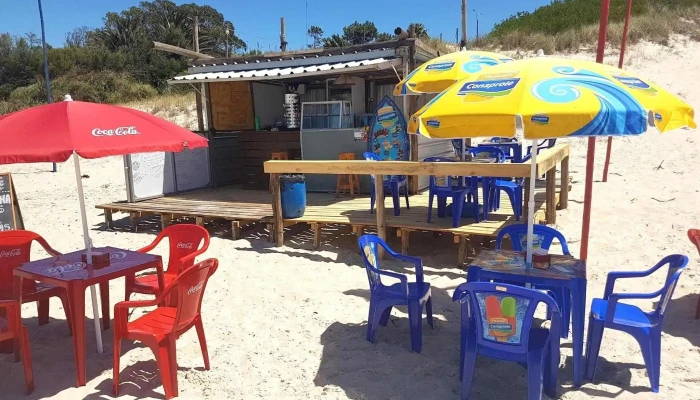 Lindo De Ver Ambiente - La Floresta