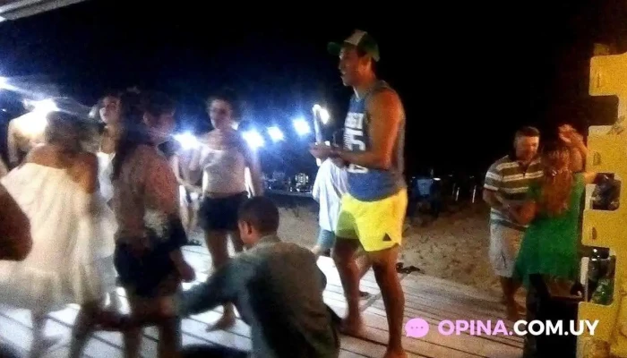 Lindo De Ver Videos - La Floresta