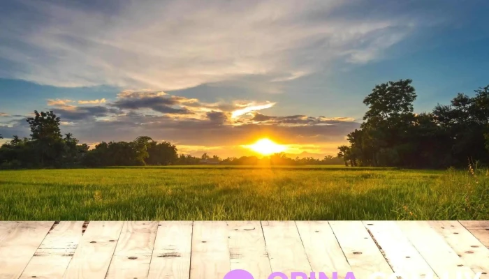 Lisley S.a. - 11300 Montevideo