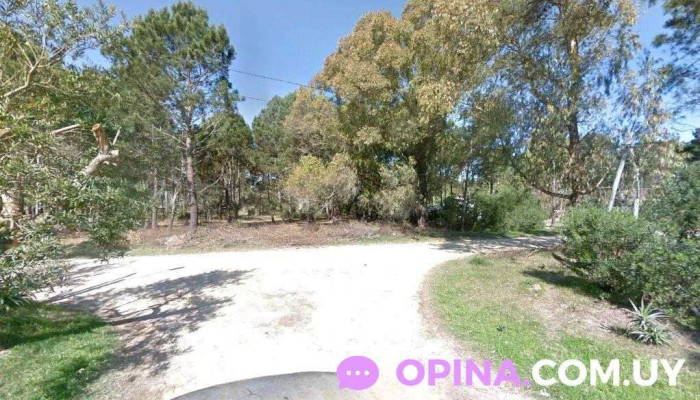 Lo de greys - 27400 Puerto La Paloma