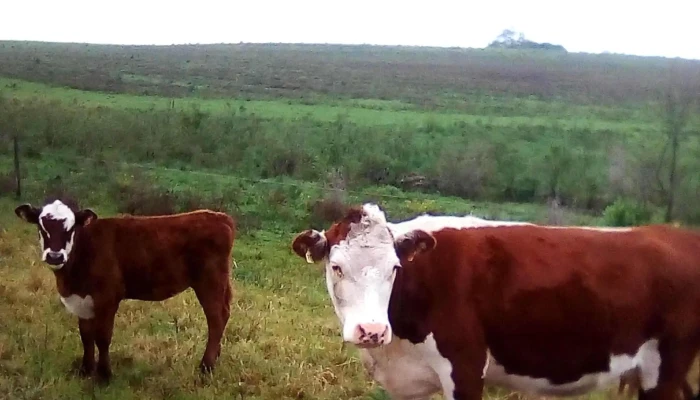Lo De Luna -  Ubicacion - San Jacinto
