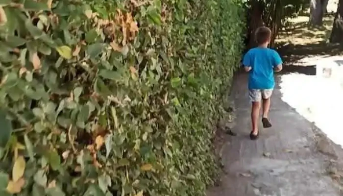 Lo De Marcos -  Videos - Montevideo